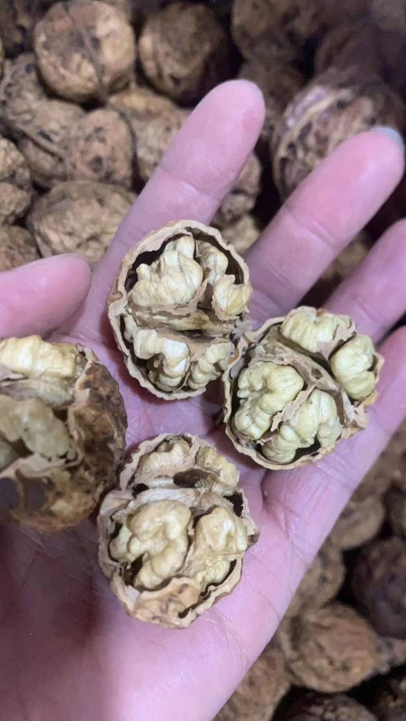 云南麻子核桃皮薄肉大