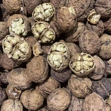 云南麻子核桃皮薄肉大