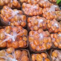大量供应广西桂林脆柿，又甜又脆。清香纯甜