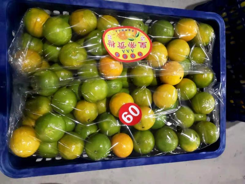 皇帝柑，量大从优！欢迎骚扰！