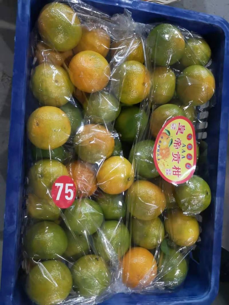 皇帝柑，量大从优！欢迎骚扰！