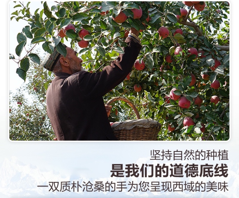 新疆阿克苏冰糖心苹果特级大果水果新鲜当季整箱斤糖心