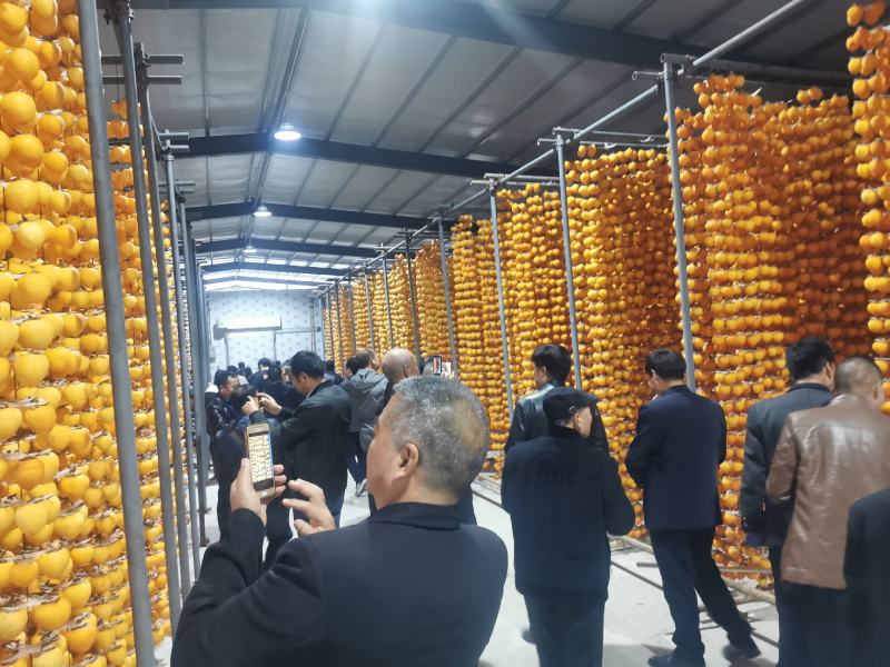 富平天然挂霜柿饼富平农家土特产礼盒装一件代发