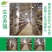 【包邮】10-40枚农场直发新鲜鸡蛋土鸡蛋草鸡蛋货源稳定