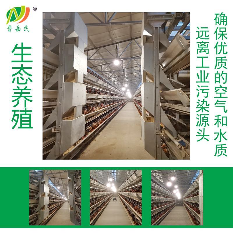 【包邮】10-40枚农场直发新鲜鸡蛋土鸡蛋草鸡蛋货源稳定