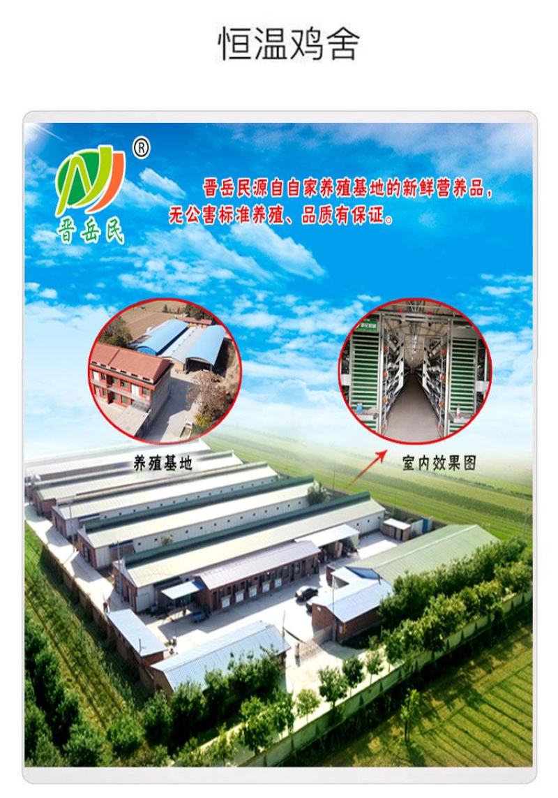 【包邮】10-40枚农场直发新鲜鸡蛋土鸡蛋草鸡蛋货源稳定