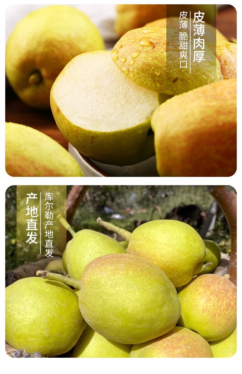 新疆库尔勒香梨时令新鲜水果精选家庭装净果