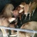 黄牛犊肉牛犊鲁西黄牛牛犊改良肉牛南阳黄牛免费送货