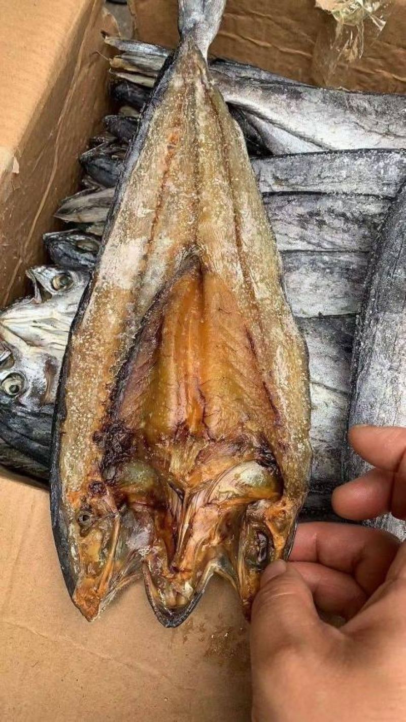 鲅鱼。鲅鱼。鲅鱼。鲅鱼