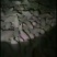 西瓜红，屋存，窖存红薯通货，商品薯开始出货中，可以分拣，