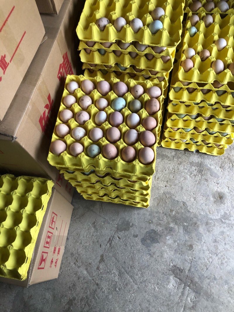 湖北潜江纯正散养土鸡蛋，不是笼子里的鸡下的蛋哦！