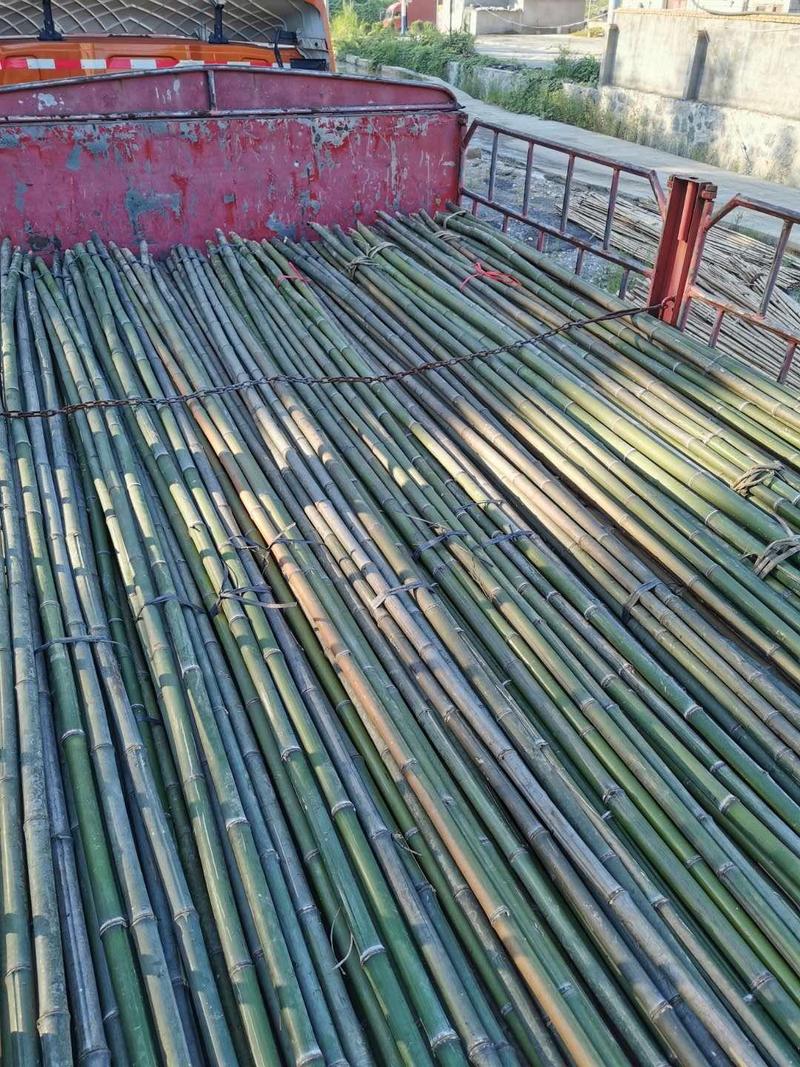 金竹，竹竿，竹制品批发，大量供应