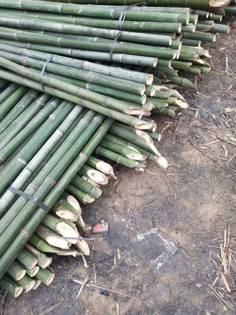 金竹，竹竿，竹制品批发，大量供应