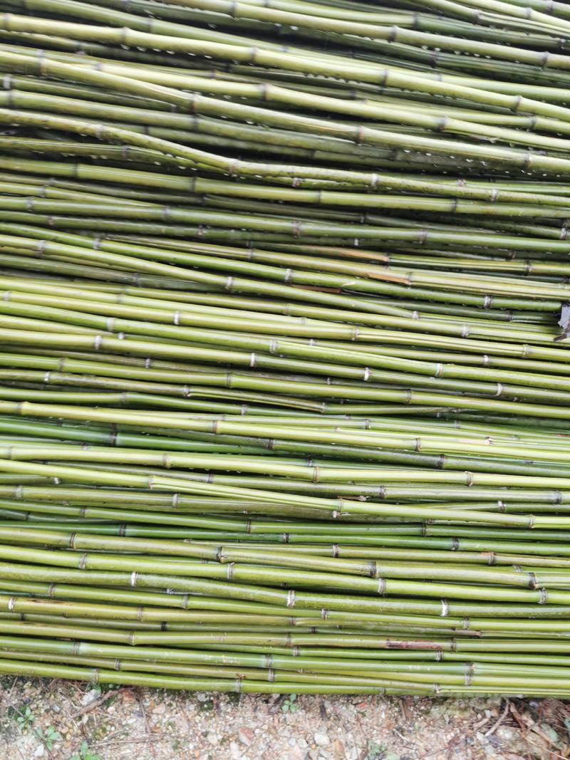 金竹，竹竿，竹制品批发，大量供应