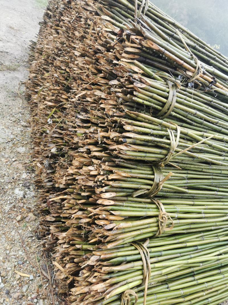 金竹，竹竿，竹制品批发，大量供应