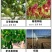 塑钢线（直销包邮）高强度塑钢线压膜线托幕线大棚线百香