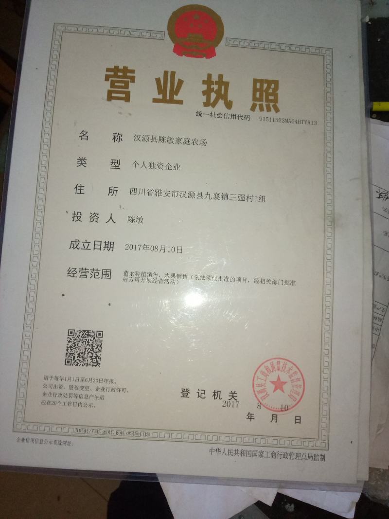 优质红花椒苗（汉源贡椒苗），九叶青花椒苗，提供技术指导。