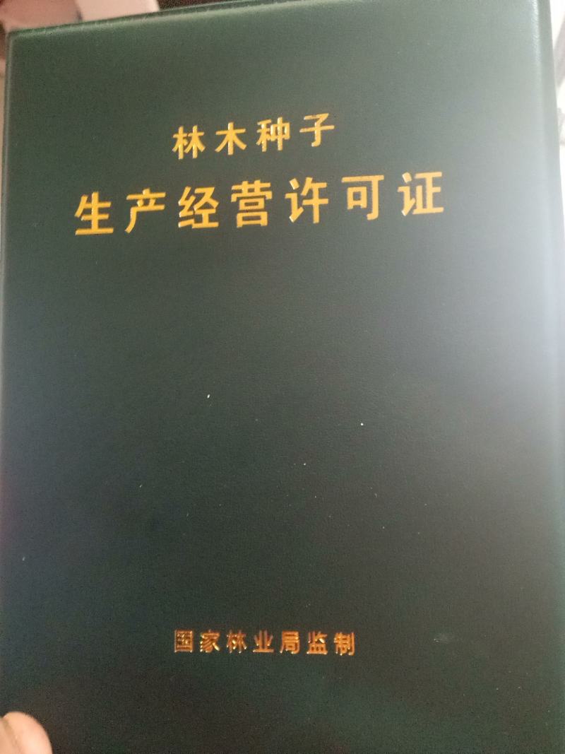 优质红花椒苗（汉源贡椒苗），九叶青花椒苗，提供技术指导。