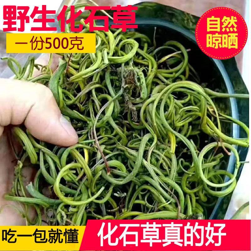 化石草野生正品肾精草产地直供无硫熏原色包邮
