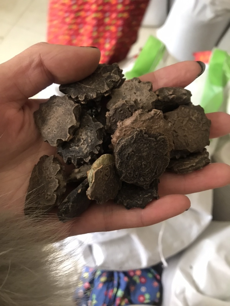 木鳖子木别子别名漏苓子藤桐子保庆药业批发