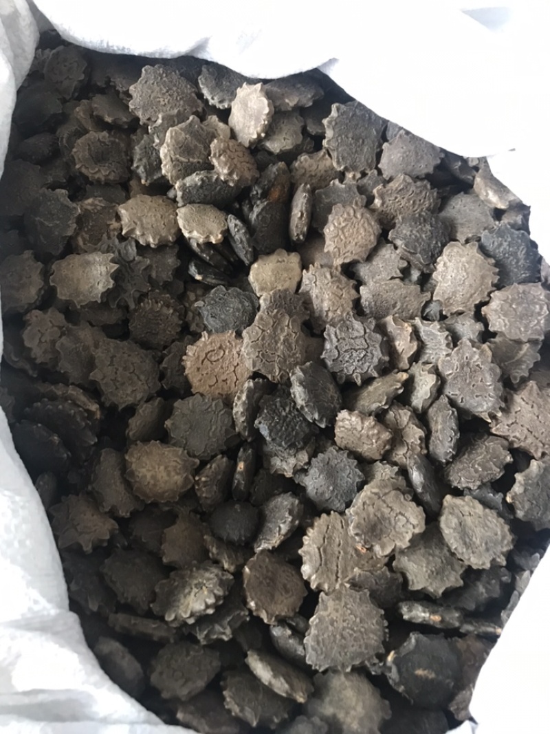 木鳖子木别子别名漏苓子藤桐子保庆药业批发