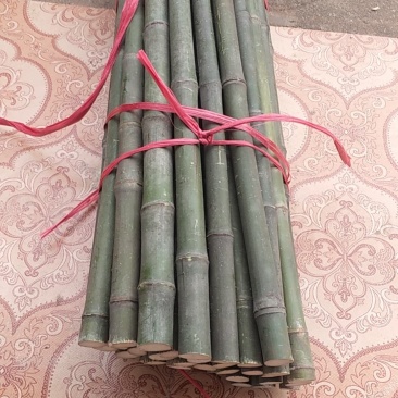 工艺品，专用竹，实心竹。接受预订个种规格