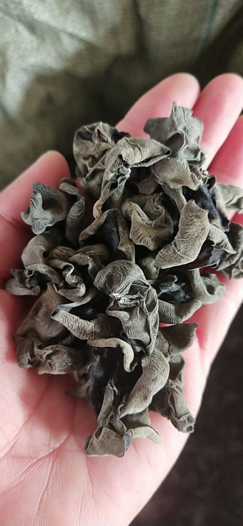 【实图拍摄】高泡发黑木耳，单片肉厚，耐泡！