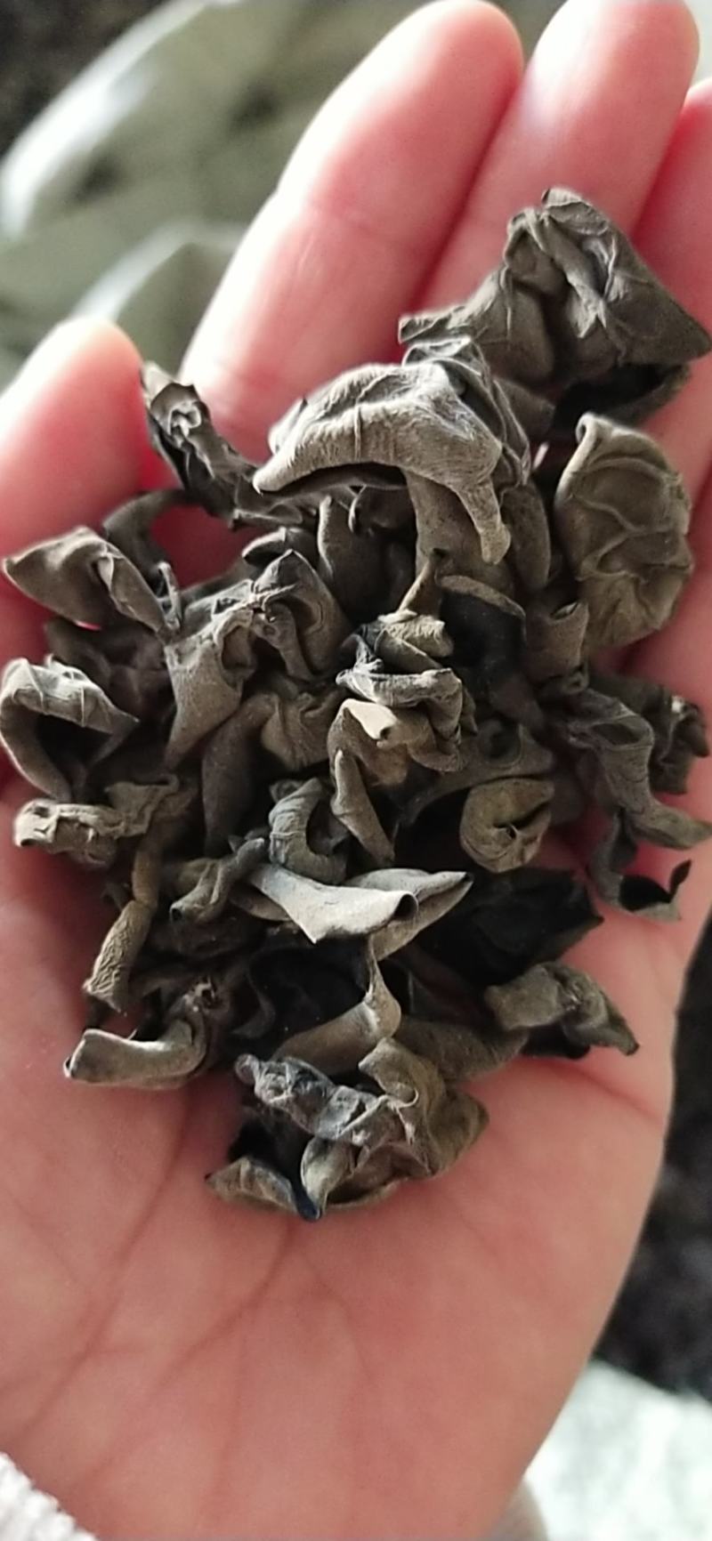 东北水发木耳，小碗耳，黑山木耳，黑厚小木耳全国发货
