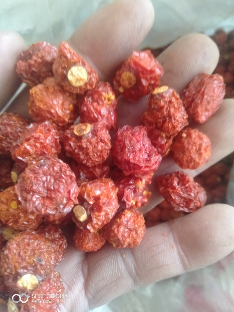红菇娘药食同源，烘干红菇娘，产于吉林省白城市镇赉县五棵树