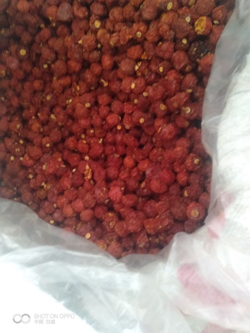 红菇娘药食同源，烘干红菇娘，产于吉林省白城市镇赉县五棵树