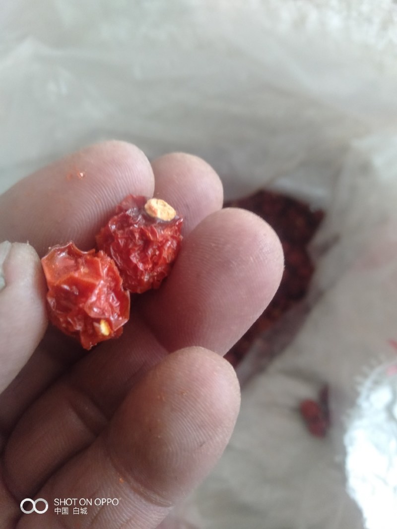 红菇娘药食同源，烘干红菇娘，产于吉林省白城市镇赉县五棵树