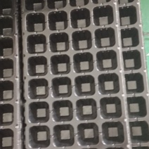 育苗穴盘32孔50孔72孔105孔128孔