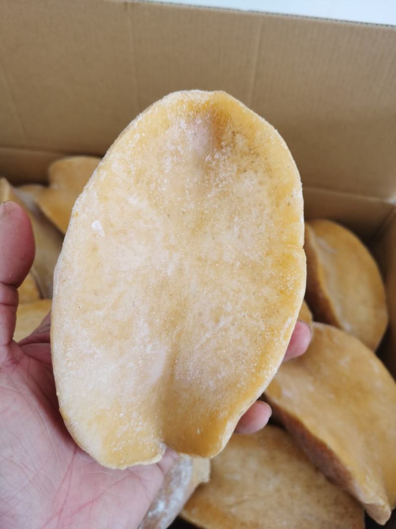 黄金澳鲍黄金鲍鱼海鲜水产批发。有量有价