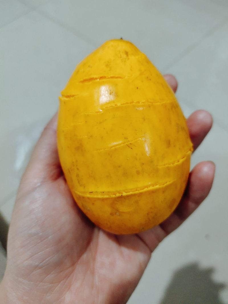 云南鸡蛋果蛋黄果种植基地，现货供应，一件代发