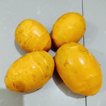 云南鸡蛋果蛋黄果种植基地，现货供应，一件代发