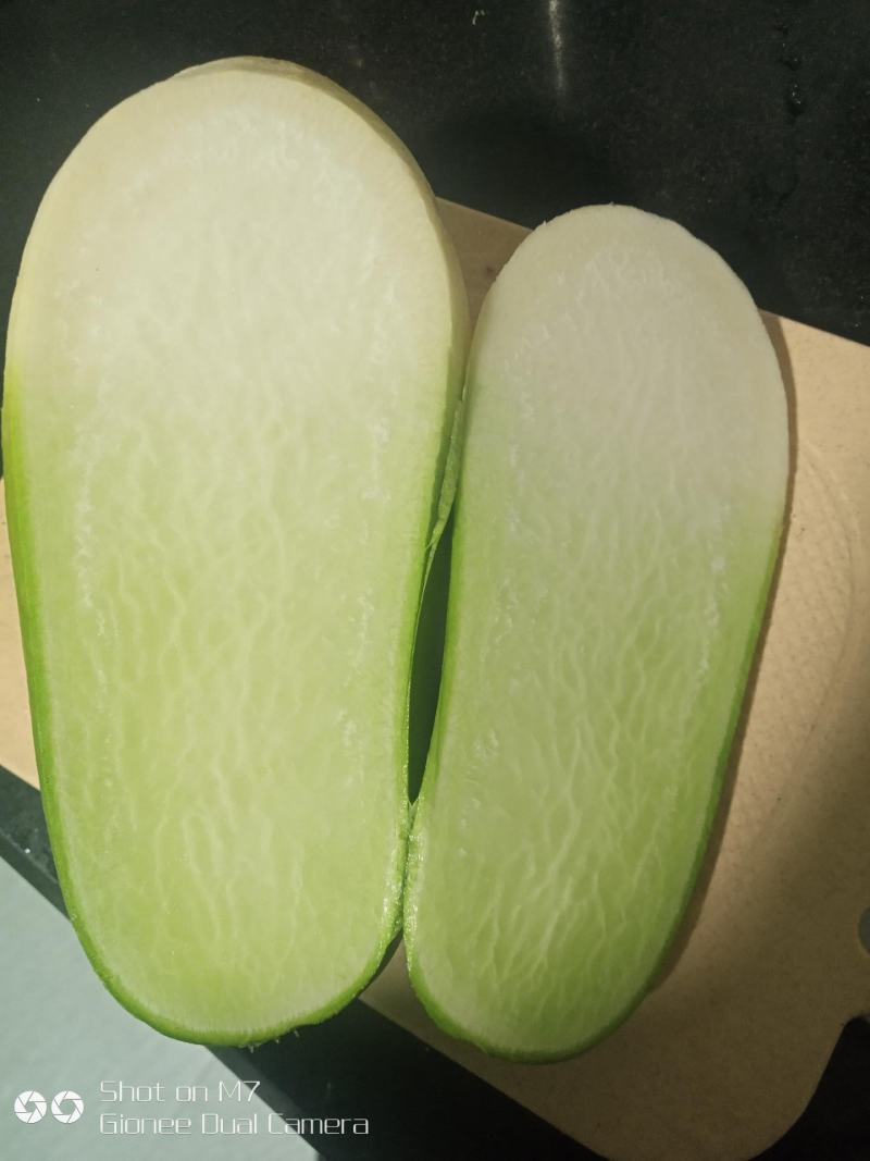 白萝卜，现挖现卖，保鲜发货，包邮到家！按时发货！