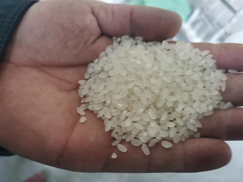 【大米】优质大米：一品香大米、东北珍珠大米、贡米