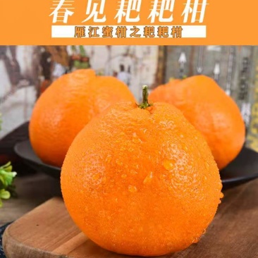 四川资阳耙耙柑大量上市