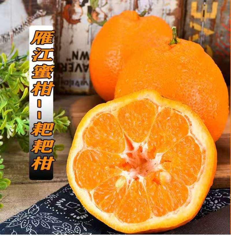 四川资阳耙耙柑大量上市