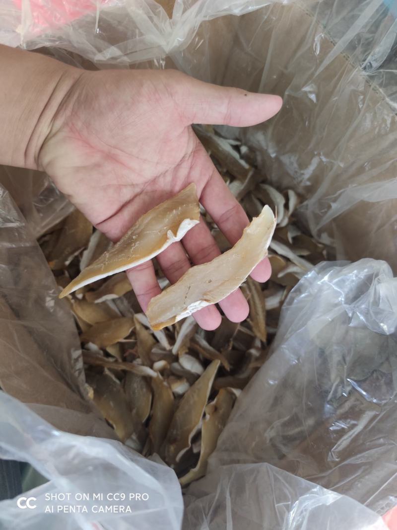 红鱼干金昌干龙舌干风干马友片红娘片各类鱼干批发