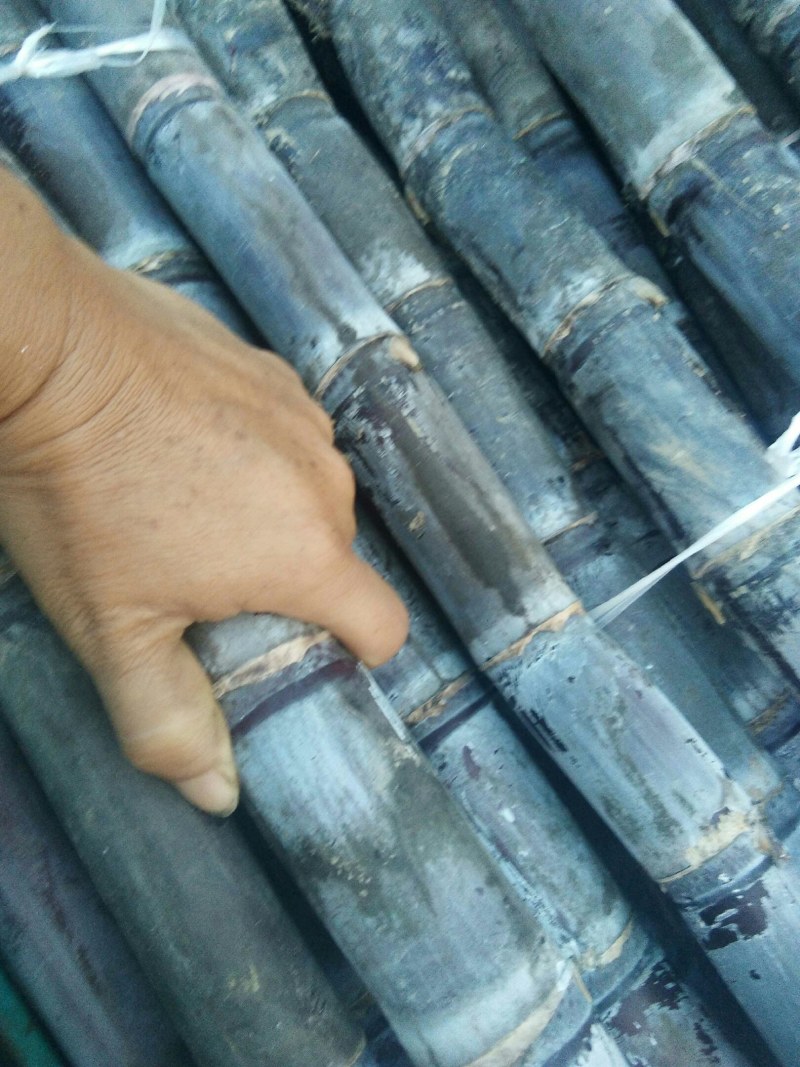 黑皮甘蔗脆甜多汁色泽好