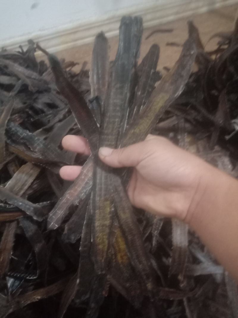 地龙第一首货源，质量保证