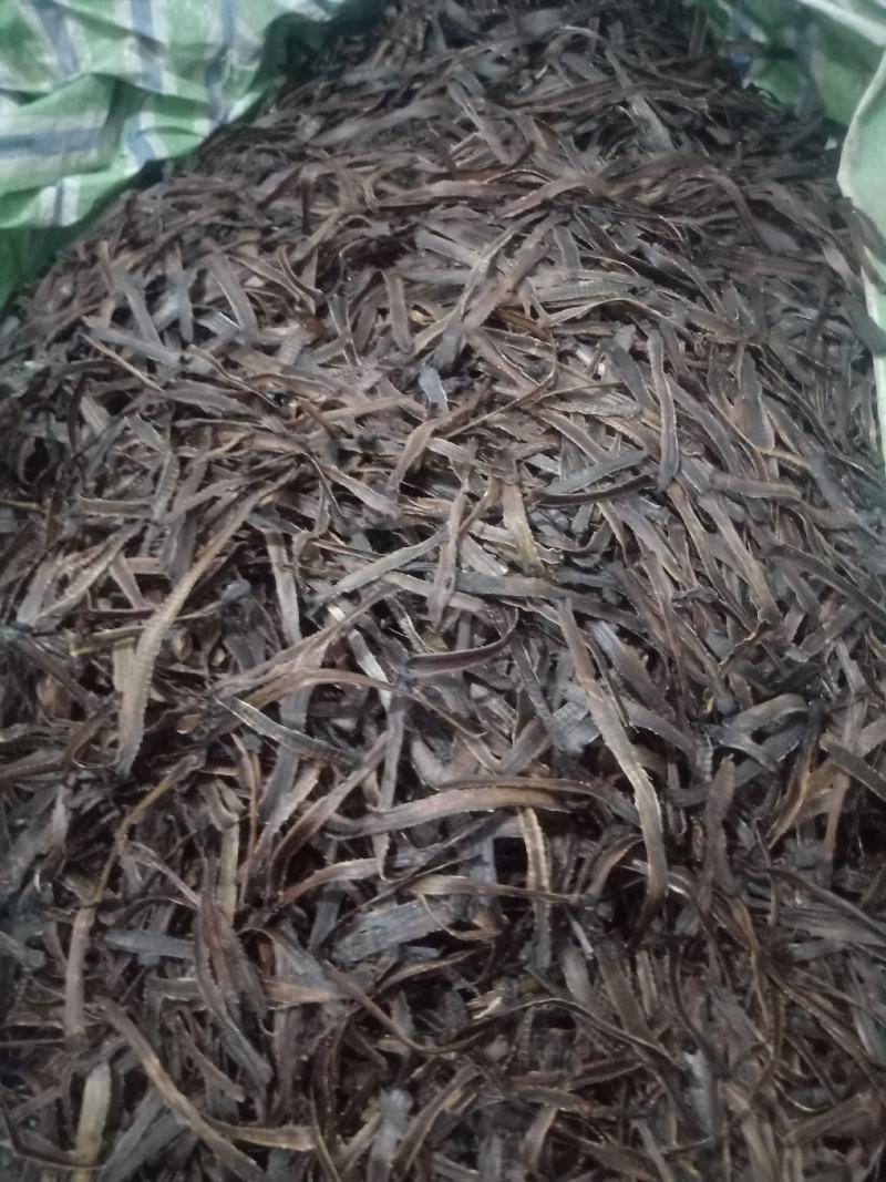 地龙第一首货源，质量保证