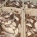 精选优质偏口鱼（比目鱼），量大详谈。需要的型号都有，原箱6元