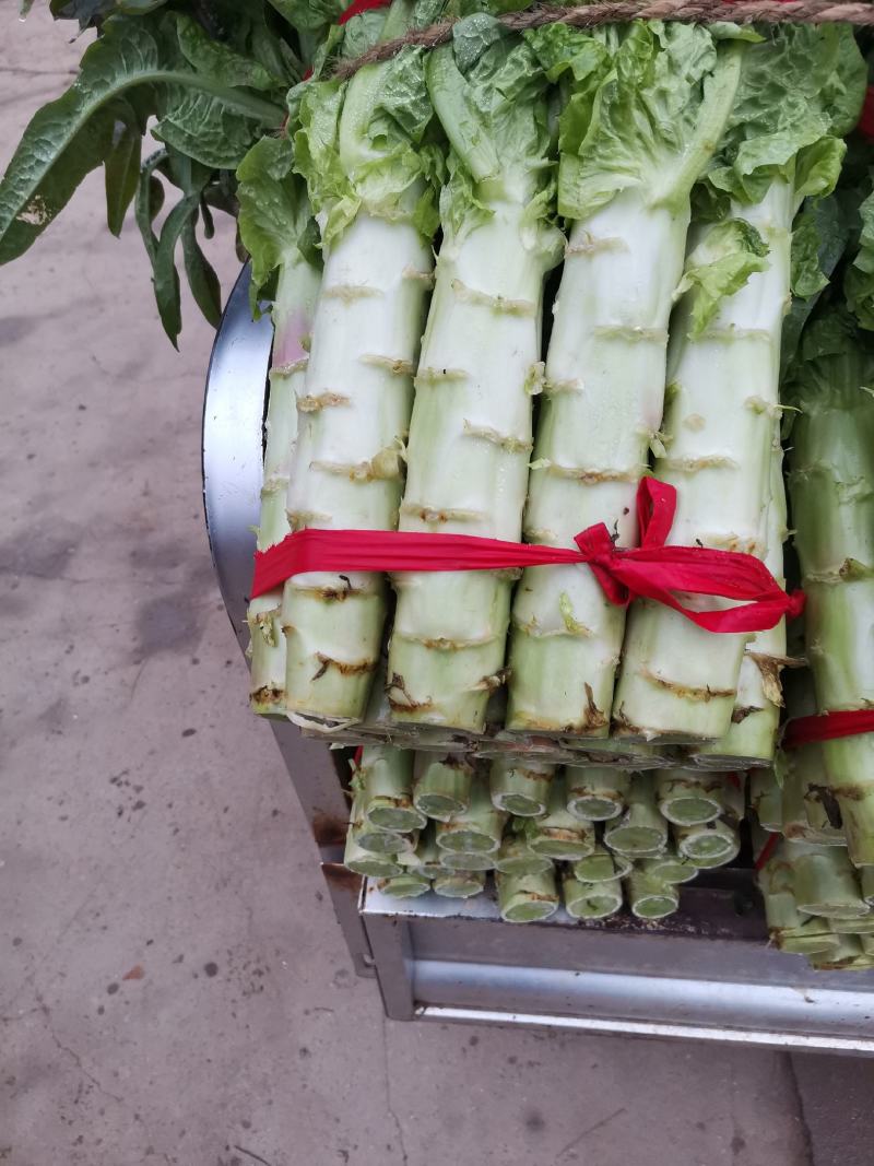 红叶香笋，大量上市，价格美丽