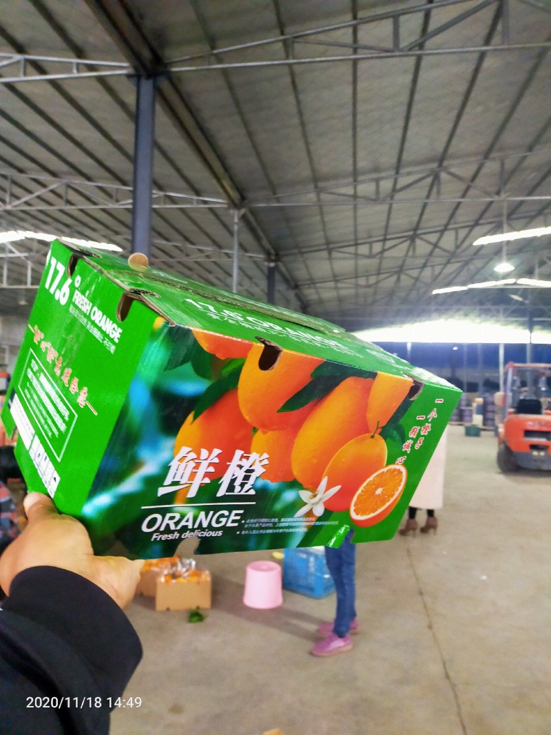 脐橙湖北产地直销皮薄多汁现摘先发可对接电商欢迎咨询