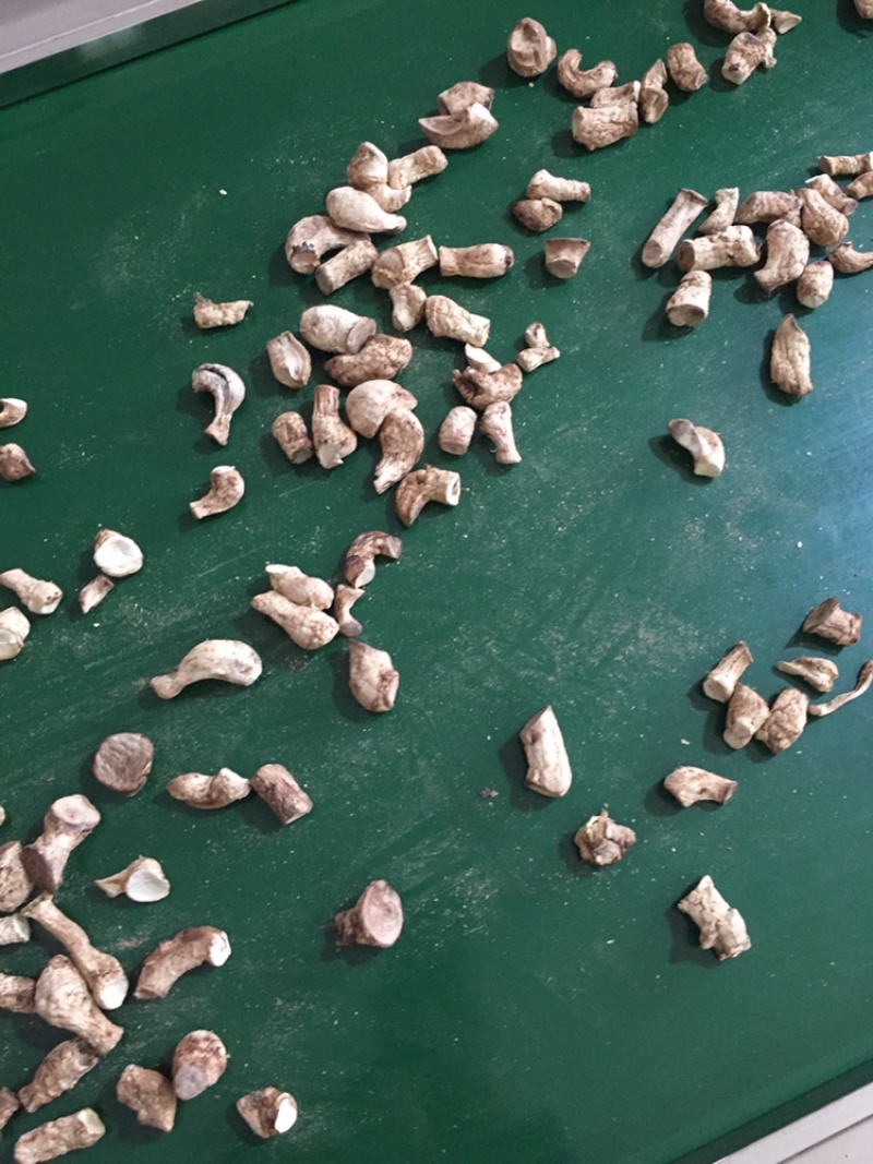 新货冬菇双剪干香菇脚冬菇腿食用菌香菇干货产地直销批发