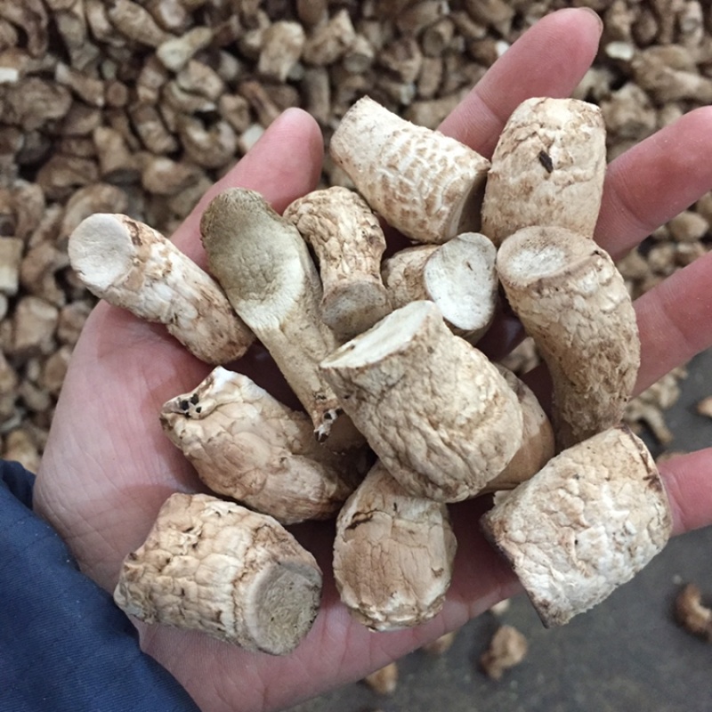 新货冬菇双剪干香菇脚冬菇腿食用菌香菇干货产地直销批发