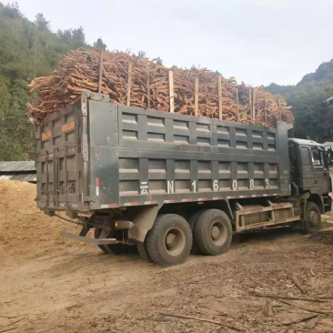 鸡血藤大量供应云南临沧干货鲜货
