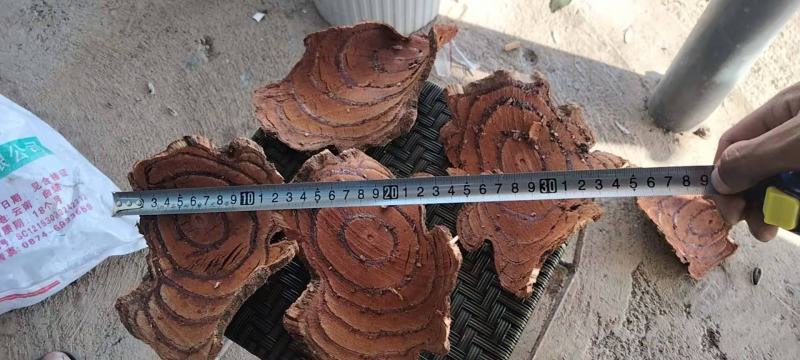 鸡血藤大量供应云南临沧干货鲜货